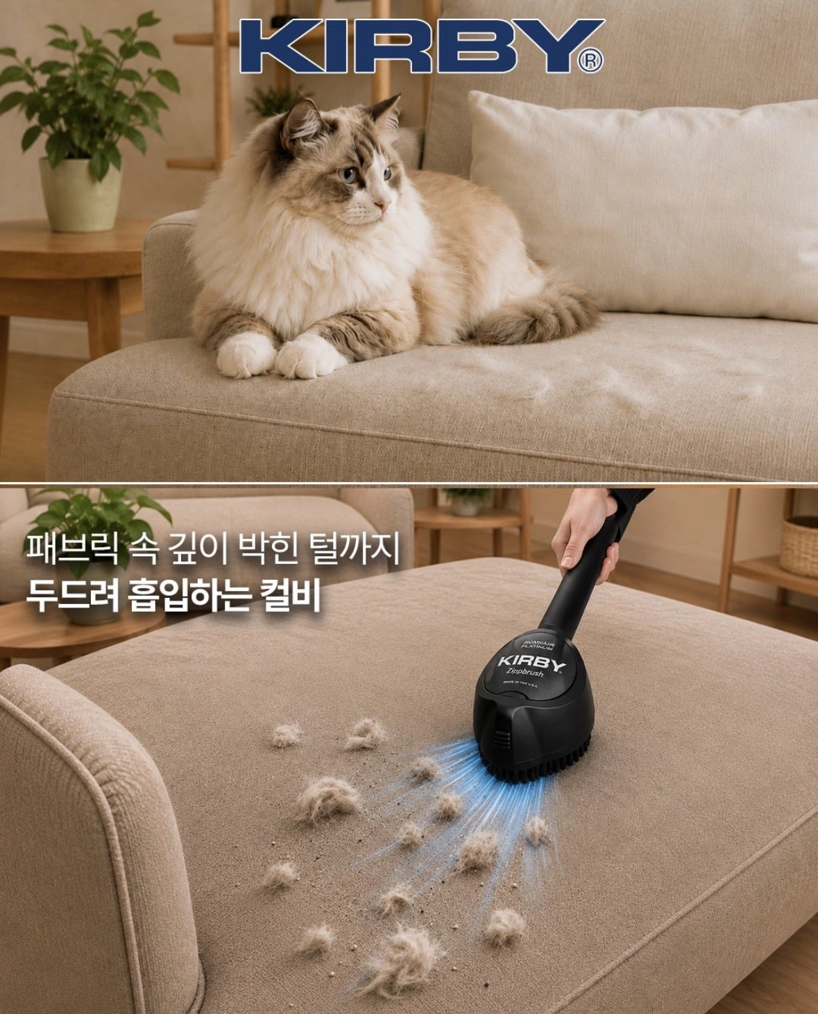 청소 전